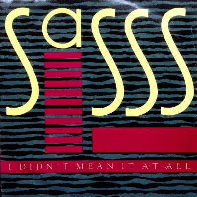 SASSS - I Didn't Mean It At All
