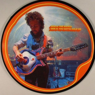 THE FLAMING LIPS - The W.A.N.D.