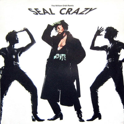 SEAL - Crazy (William Orbit Remix)