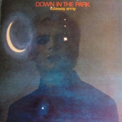 TUBEWAY ARMY - Down In The Park
