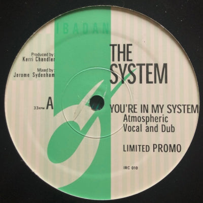 THE SYSTEM - You're In My System