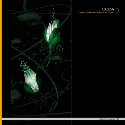 SEBA  - Vally Of The Moomins / Car Crash