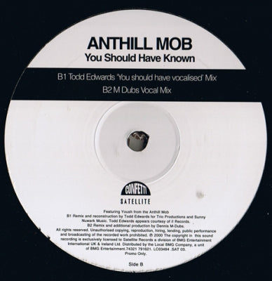 ANTHILL MOB - You Should Have Known