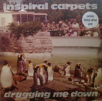 INSPIRAL CARPETS - Dragging Me Down