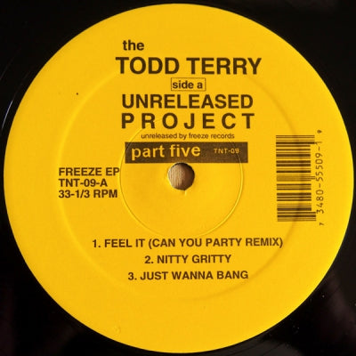 TODD TERRY - Unreleased Project Part 5