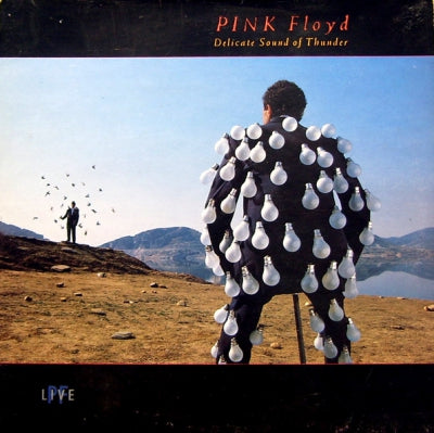 PINK FLOYD - Delicate Sound Of Thunder