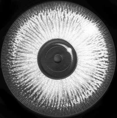 THE HOLY GHOST INC. - Nice One Boy! / The Magnet / Psycho Missus