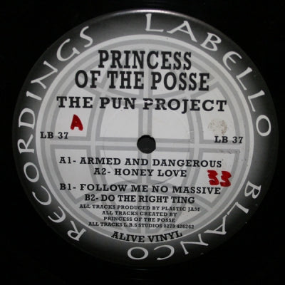 PRINCESS OF THE POSSE - The Pun Project
