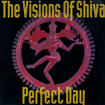 VISIONS OF SHIVA - Perfect Day