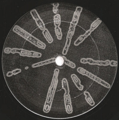 BASIC CHANNEL - Phylyps Trak II