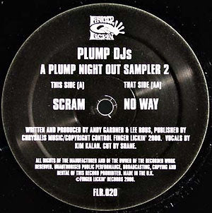 PLUMP DJ'S - A Plump Night Out (Sampler 2)