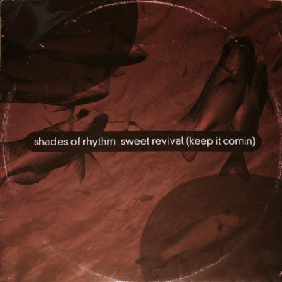 SHADES OF RHYTHM - Sweet Revival (Keep It Comin)