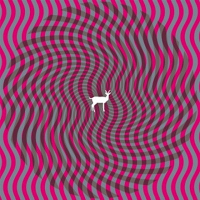 DEERHUNTER - Cryptograms / Fluorescent Grey
