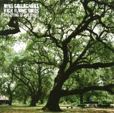 NOEL GALLAGHER'S HIGH FLYING BIRDS - The Dying Of The Light