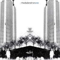 RHODODENDRON - One