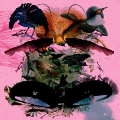 LEON VYNEHALL - Rojus Designed To Dance