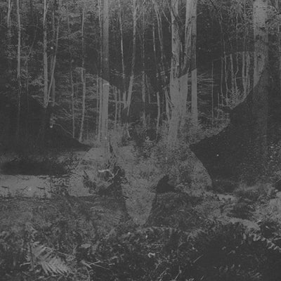 CHOLERA - Plagiarised Hope