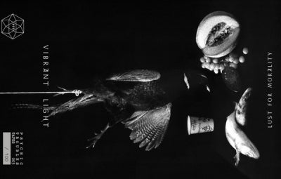 VINRANT LIGHT - Lust For Morality