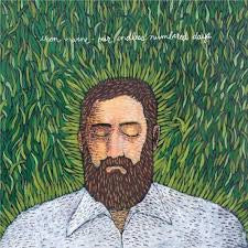 IRON AND WINE - Our Endless Numbered Days