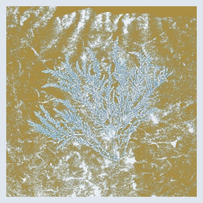 HUERCO S. - For Those Of You Who Have Never (And Also Those Who Have)
