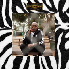 FREDDIE GIBBS & MADLIB - Piñata
