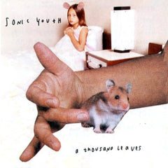SONIC YOUTH - A Thousand Leaves
