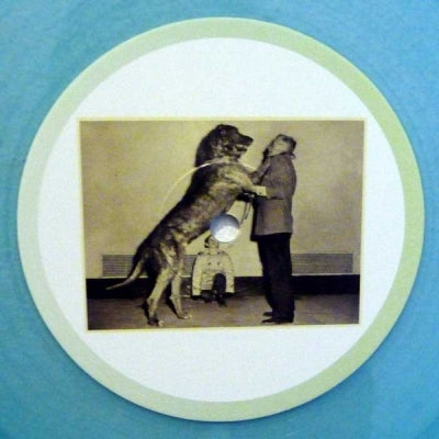 DAMIAN SCHWARTZ / JACK BEAVERS / BOB - Elidir Fawr