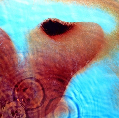 PINK FLOYD - Meddle