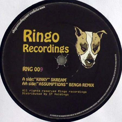 SKREAM / BENGA VS. G SQUAD - Kinky / Assumptions (Remix)