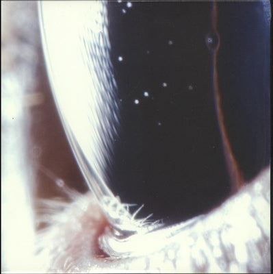 ROLY PORTER - Third Law