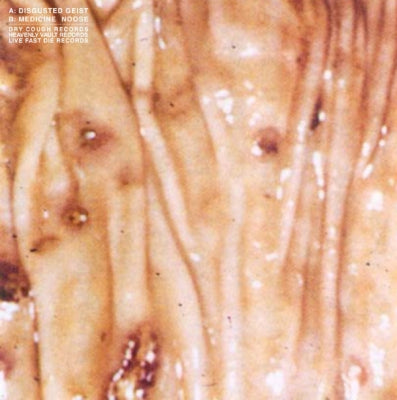 DISGUSTED GEIST / MEDICINE NOOSE - Disgusted Geist / Medicine Noose