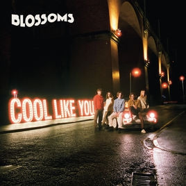 BLOSSOMS - Cool Like You