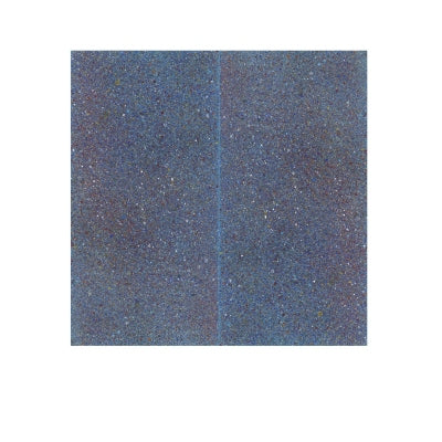 NEW ORDER - Temptation