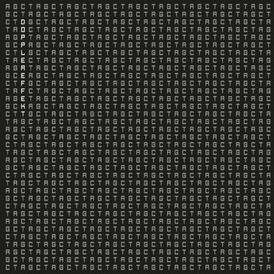 DOPPLEREFFEKT - Tetrahymena EP