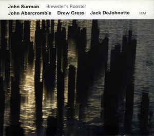 JOHN SURMAN - Brewster's Rooster