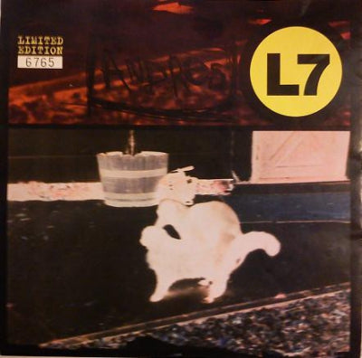 L7 - Andres