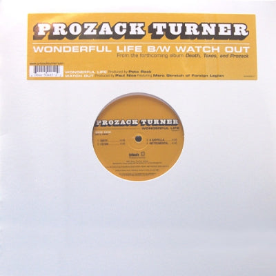 PROZACK TURNER (FOREIGN LEGION) - Wonderful Life