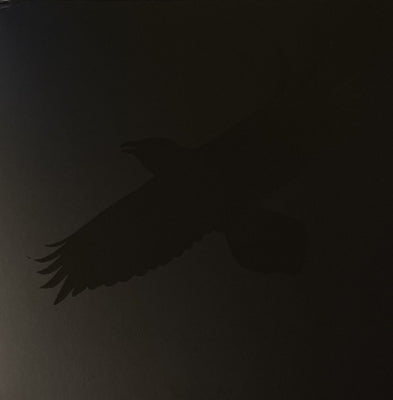 SIGUR RóS WITH STEINDóR ANDERSEN, HILMAR ÖRN HILMARSSON AND MARíA HULD MARKAN SIGFúSDóTTIR - Odin's Raven Magic