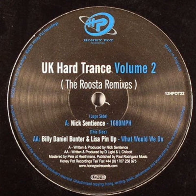 NICK SENTIENCE / BILLY DANIEL BUNTER & LISA PIN UP - UK Hard Trance Volume 2 (The Roosta Remixes)