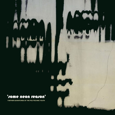 VARIOUS - Some Neon Reason: Further Adventures Of The Polytechnic Youth