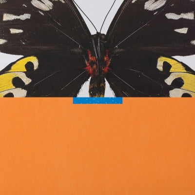 JULES VENTURINI - Whities 014