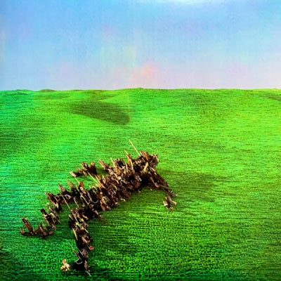 SQUID - Bright Green Field