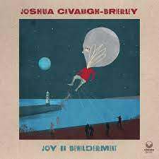 JOSHUA CAVANAGH-BRIERLEY - Joy In Bewilderment
