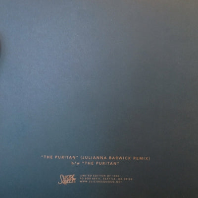 THIS WILL DESTROY YOU - The Puritan