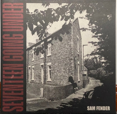 SAM FENDER - Seventeen Going Under