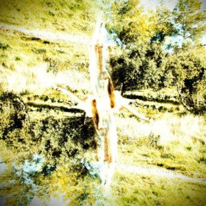 GREATWAVES - The Shore / Into The Blue