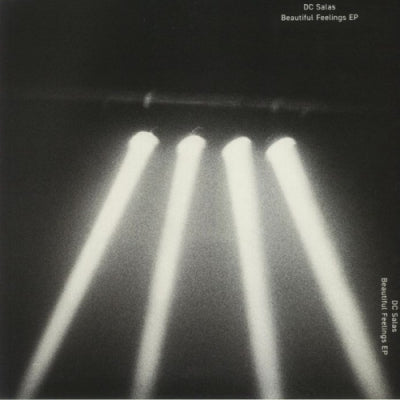 DC SALAS - The Beautiful Feelings EP