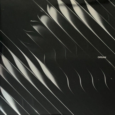 DIMENSION - Organ