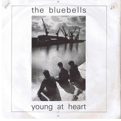 THE BLUEBELLS - Young At Heart