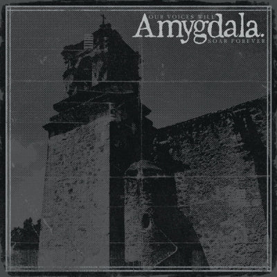 AMYGDALA - Our Voices Will Soar Forever